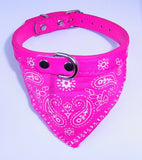 Dog Collar with Neckerchief Scarf Bandana  Small / Medium