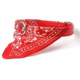 Dog Collar with Neckerchief Scarf Bandana  Small / Medium