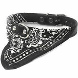 Dog Collar with Neckerchief Scarf Bandana  Small / Medium