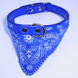 Dog Collar with Neckerchief Scarf Bandana  Small / Medium