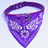 Dog Collar with Neckerchief Scarf Bandana  Small / Medium