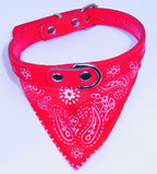 Dog Collar with Neckerchief Scarf Bandana  Small / Medium