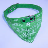 Dog Collar with Neckerchief Scarf Bandana  Small / Medium