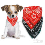 Dog Collar with Neckerchief Scarf Bandana