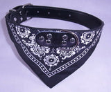 Dog Collar with Neckerchief Scarf Bandana . XXL  47-55cm